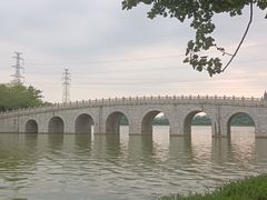 -顺峰山公园