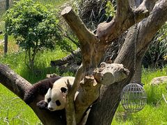 -宁波野生动物园