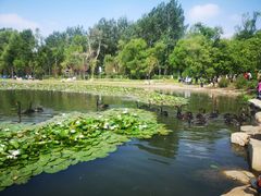 -长春市南湖公园