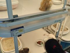 -万达广场(北京槐房店)