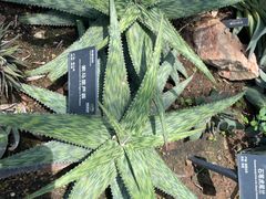 -国家植物园南园