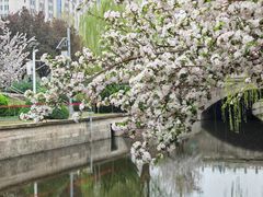 -海棠花溪(元大都城垣遗址公园)