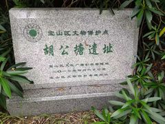 -吴淞炮台湾湿地森林公园烧烤区