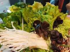 -大龙燚火锅
