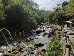 -广州白江湖森林公园