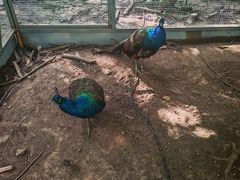 -野三坡百草畔景区