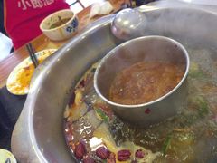 -金鼎雪山牦牛杂火锅(理县总店)