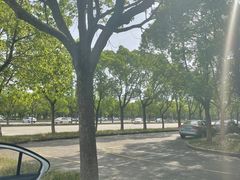 -安飞驰驾校·学车连锁(金高店)