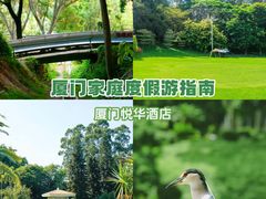 -厦门悦华酒店