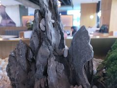 -马家斑.鲜鱼火锅(松湖万科店)
