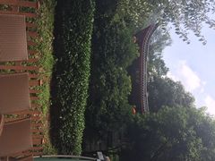 iphone_upload_pic-十八棵（老龙井）御茶园(老龙井店)