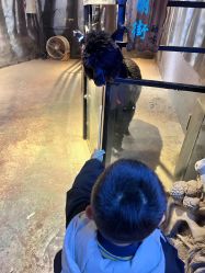 -酷嗒动物文化乐园(cutezoo西溪乐天城店)