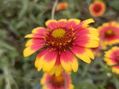 -共青国家森林公园-南大门停车场