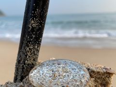 -西涌国际滨海旅游区