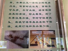 -上海昆虫博物馆