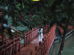 -广州市石门国家森林公园