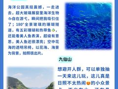 -巧克力渔家.小船海鲜胶东菜(万平口店)