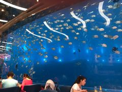 -瑞德姆美人鱼海底演艺主题餐厅(亚龙湾店)