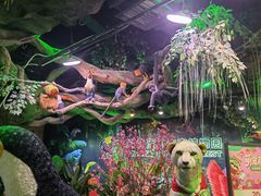-正佳雨林生态植物园