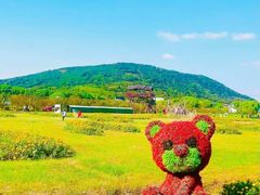 -苏州太湖西山岛开心农场