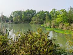 -桤木河湿地公园