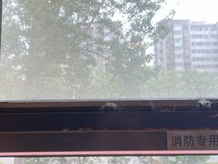 -麦当劳(团结湖店)
