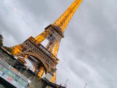 -Le Comptoir de la Gastronomie