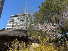 -南长河公园