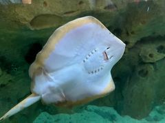 -珠海长隆海洋王国