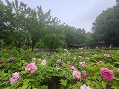 -黑龙江省森林植物园