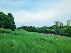 -红花山公园