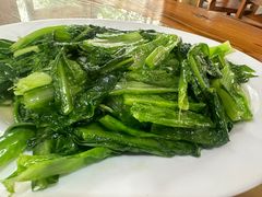 -黄家菜园农庄
