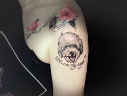 -刺客纹画纹身·洗纹身·穿孔饰品