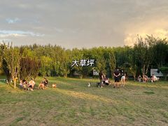 -爪吧宠物乐园·宠物泳池(温榆河示范区店)