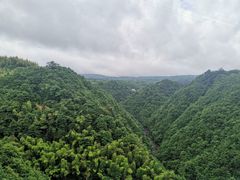 -四明山国家森林公园