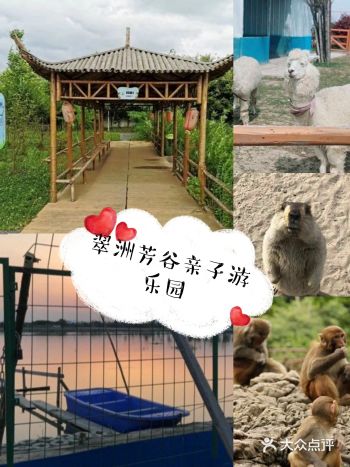 外面的花儿已经悄悄绽放，小朋友们在家里可是看不到的呢