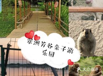 外面的花儿已经悄悄绽放，小朋友们在家里可是看不到的呢