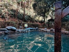 -明月山天沐温泉度假村