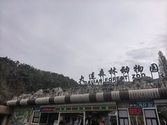 -大连森林动物园