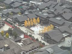 -成都尼依格罗酒店