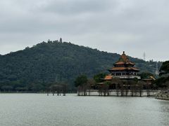 -顺峰山公园