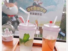 -柴犬高等学院·狗咖·柴犬售卖·宠物训练