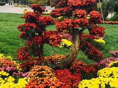 -廊坊文化艺术中心