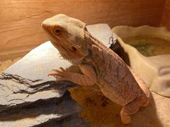 -百谜机械解谜工场
