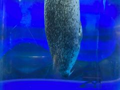 -海合安武汉极地海洋公园