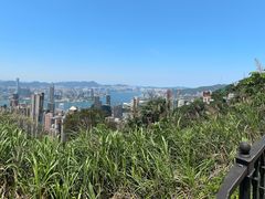 -太平山顶