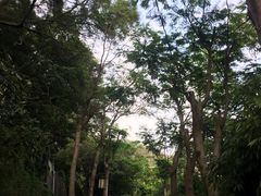 -鸿山公园