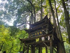-青城山
