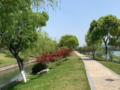 -羊山湖公园