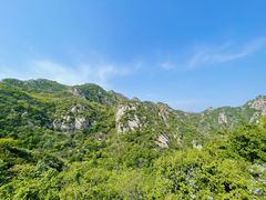 -大岭沟猕猴桃谷风景区